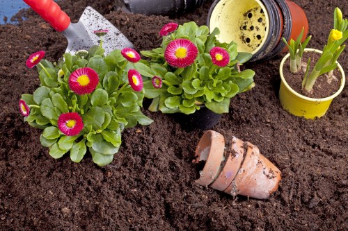 Professional garden clearance in progress in Golders Green