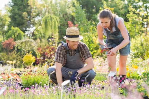 Clean and revitalized garden space after clearance