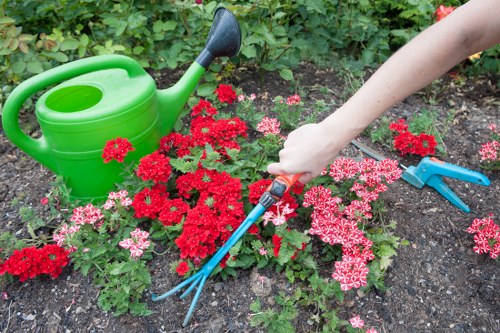 Front view of a professional gardener team in Golders Green preparing a garden
