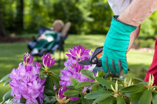 Beautiful landscaped garden in Golders Green with vibrant flowers