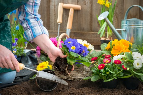 Pruning and trimming services in a Golders Green garden