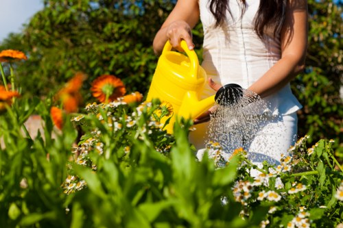 Community garden with various plants